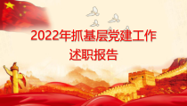 抓基层党建工作述职报告PPT