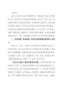 在县委X届二次全体会议暨县委经济工作会议上的讲话