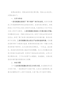 副县长巡视整改专题民主生活会对照检查发言