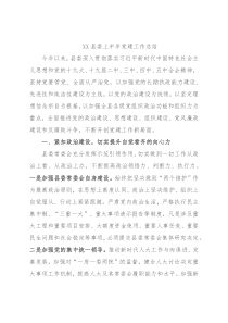 XX县委上半年党建工作总结