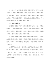 镇级河长2021年述职报告