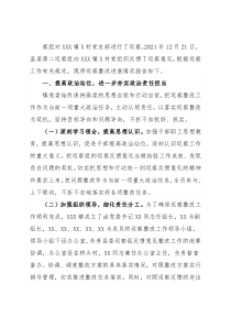 镇关于巡察整改进展情况的报告