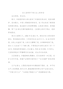 在X县领导干部大会上的讲话