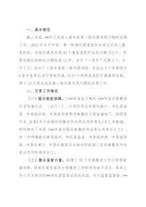 市纪委监委巡察整改日常监督工作情况汇报