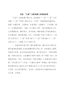 某县 “五星”支部创建工作经验材料