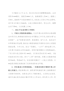 某县消防救援大队关于2022年工作总结暨2023年工作思路的情况报告