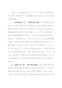 农村党员队伍建设工作汇报