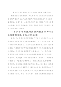 党史学习教育专题组织生活会检视问题发言-党委书记