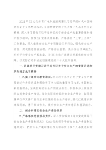 X文体广旅局2022年安全生产工作要点