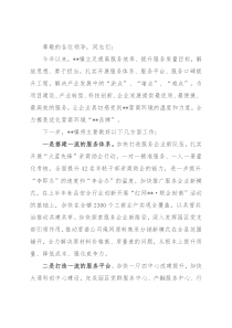 在优化营商环境建设富美城市工作推进会上的汇报发言