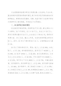 XX县青年劳动力资源调查分析报告