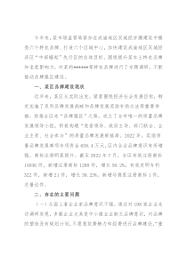 某区质量品牌发展存在的问题及建议