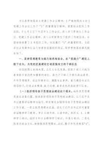 党委关于贯彻落实党建工作会议精神的情况报告