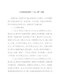 公司实体化改革“一企一策”方案