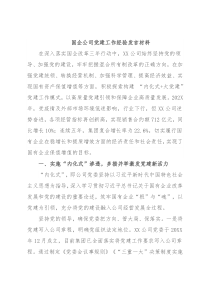 国企公司党建工作经验发言材料