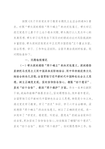 农业农村局副局长党史学习教育专题民主生活会对照检查材料