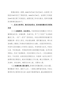 市委巡视整改进展情况报告