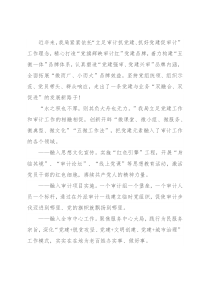 党建品牌创建工作经验材料：党旗辉映审计红 匠心铸就强审梦（市审计局）