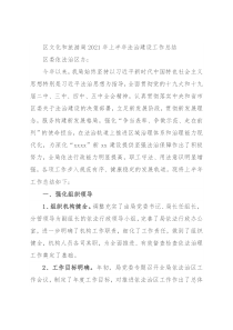 区文化和旅游局2021年上半年法治建设工作总结