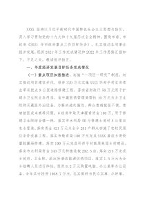 政府务虚会议汇报材料