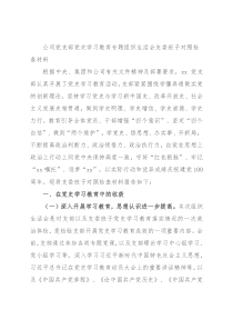 公司党支部党史学习教育专题组织生活会支委班子对照检查材料