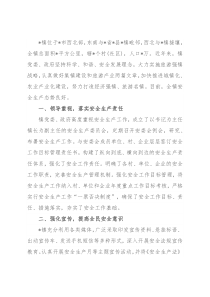 镇安委会安全生产工作汇报