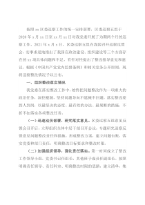 关于巡察整改进展情况报告