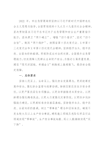 2022年X市应急管理工作要点