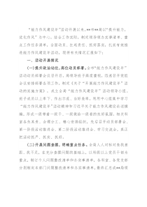 市局能力作风建设年活动工作总结