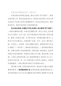 把准市县巡察政治定位（市委书记）