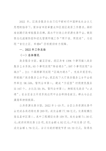 区政务服务办2022年工作汇报