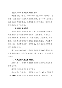 局党组关于巡察整改进展情况报告