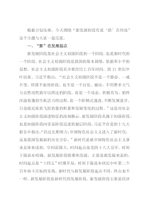 党课辅导：新发展阶段究竟“新”在何处