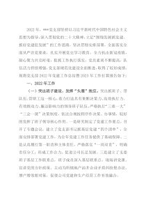 企业党支部2022年工作总结及2023年计划