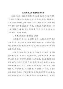 XX局支部上半年党建工作总结