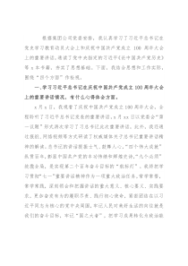 集团公司党支部2021年党史学习教育专题组织生活会检视问题发言