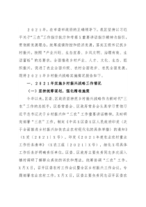 区人民政府乡村振兴战略实施情况报告