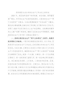 常务副区长在全市安全生产工作会议上的发言