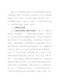 关于镇2021年乡村振兴战略实施情况的报告