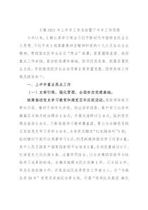 X镇2021年上半年工作总结暨下半年工作思路