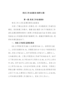 (6篇)党务工作自查报告