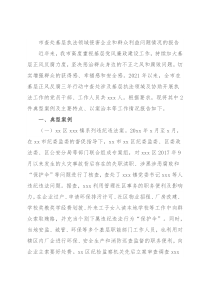 市查处基层执法领域侵害企业和群众利益问题情况的报告