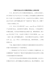 市委书记在全市乡村建设现场会上的的讲话