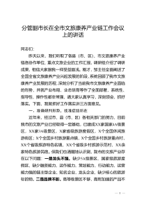分管副市长在全市文旅康养产业链工作会议上的讲话