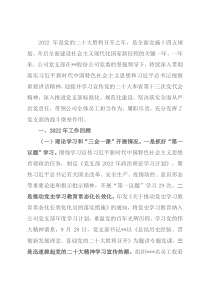 公司党支部2022年度党建和党风廉政建设工作总结