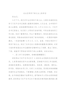 在全区领导干部大会上的讲话