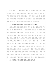 集团党委推进党支部标准化规范化建设经验材料