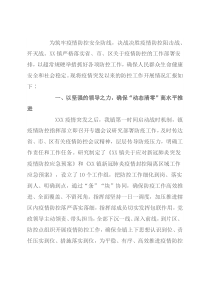 乡镇突发疫情防控工作总结