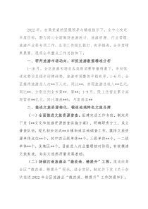 2022年区旅游行业工作总结