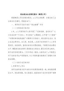 政治政治生态情况报告（集团公司）